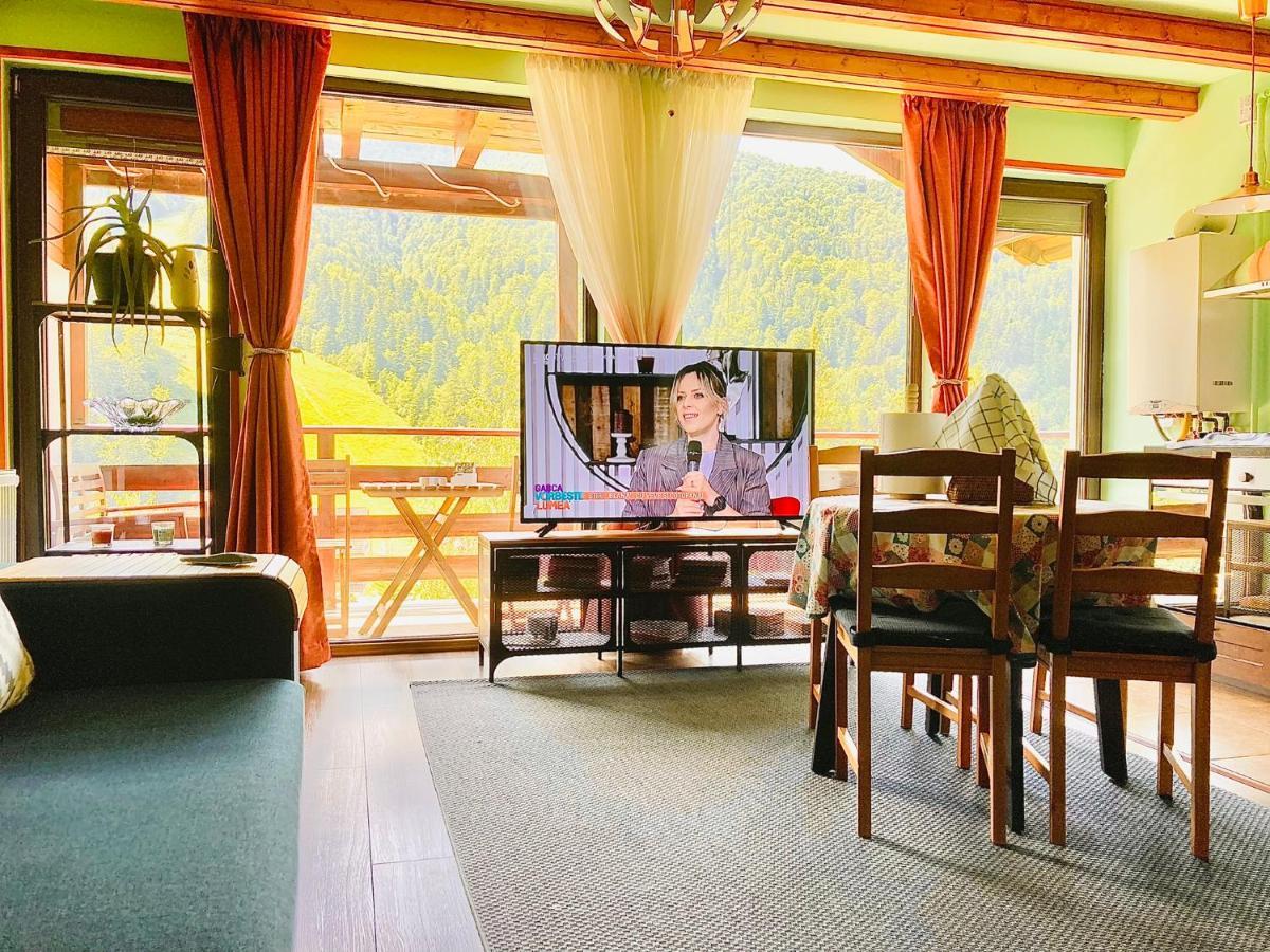 Appartement Lucas Duplex à Azuga Extérieur photo