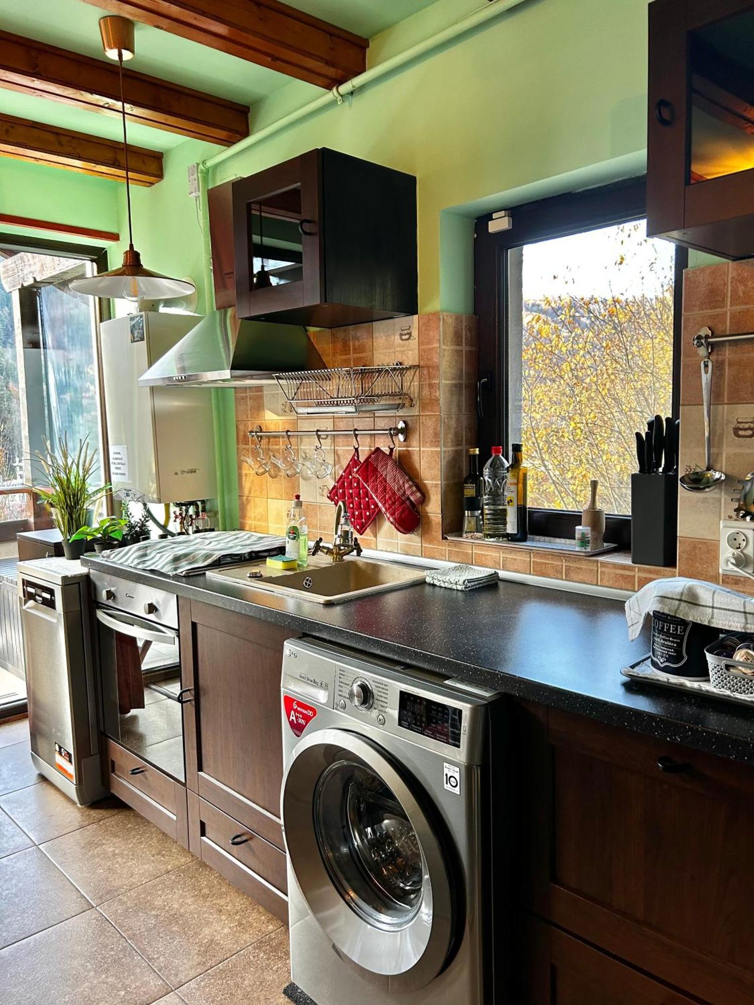 Appartement Lucas Duplex à Azuga Extérieur photo