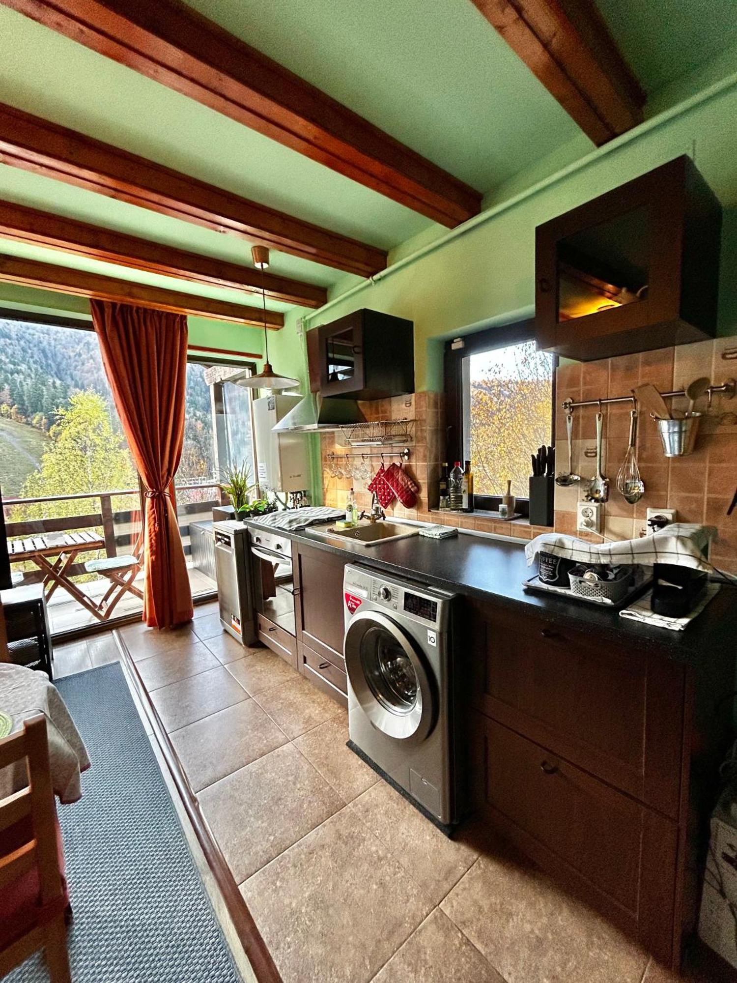 Appartement Lucas Duplex à Azuga Extérieur photo